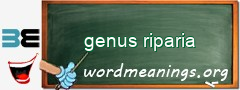 WordMeaning blackboard for genus riparia